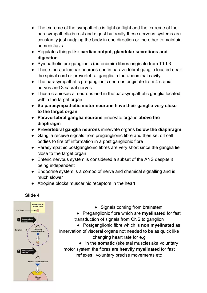 Autonomic Nervous System #1 - Page 12