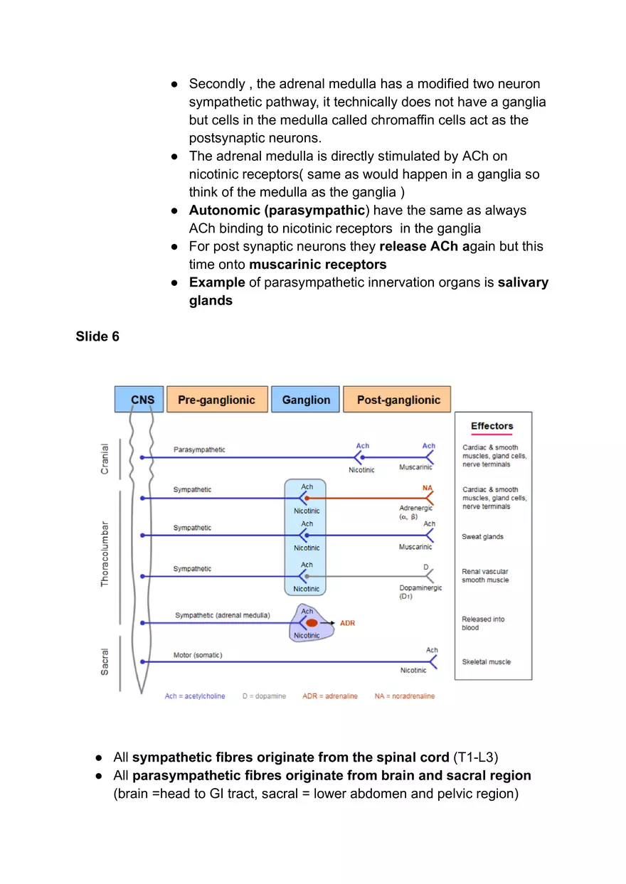 Autonomic Nervous System #1 - Page 15