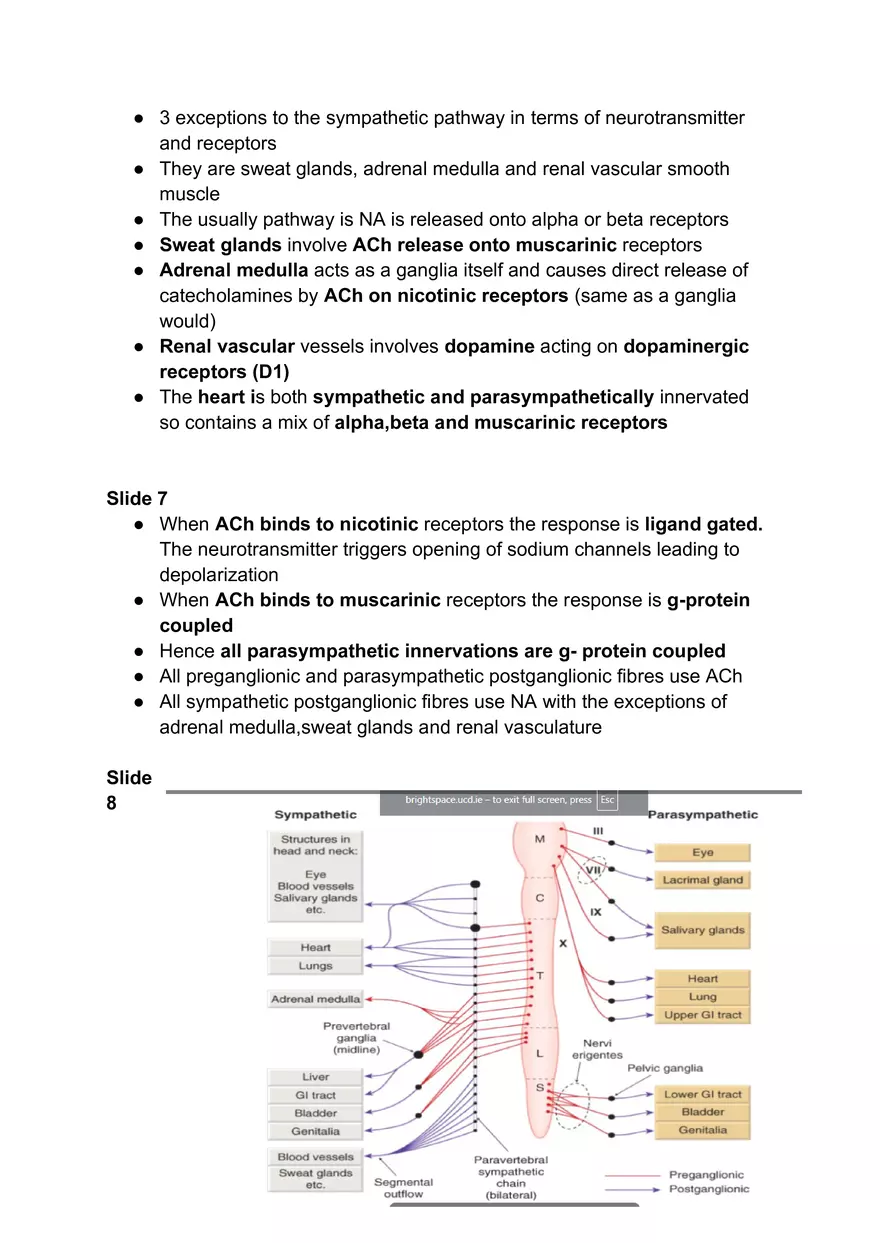 Autonomic Nervous System #1 - Page 16