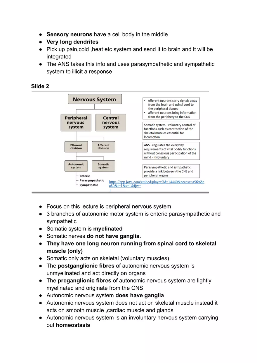 Autonomic Nervous System #1 - Page 2