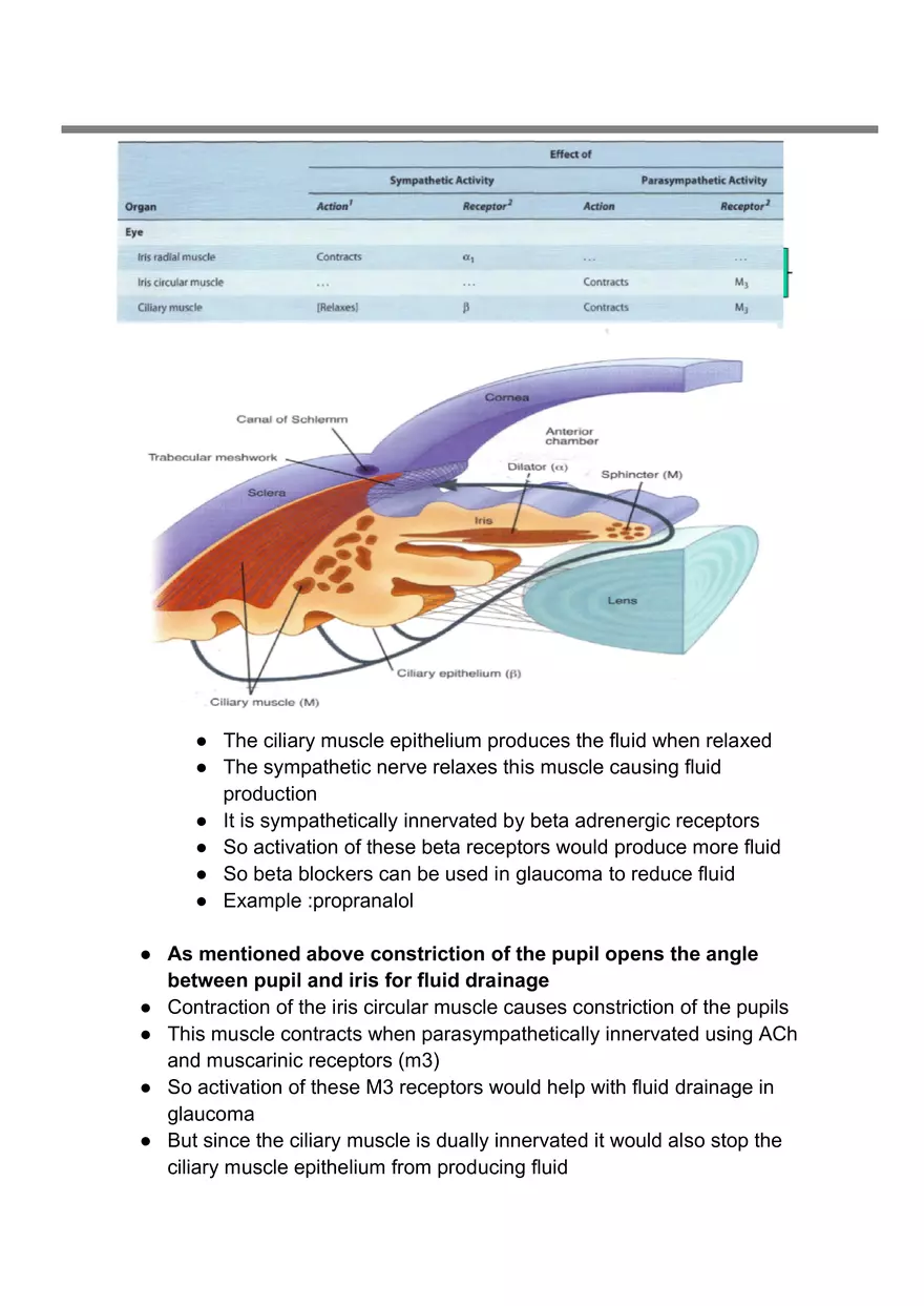 Autonomic Nervous System #1 - Page 3