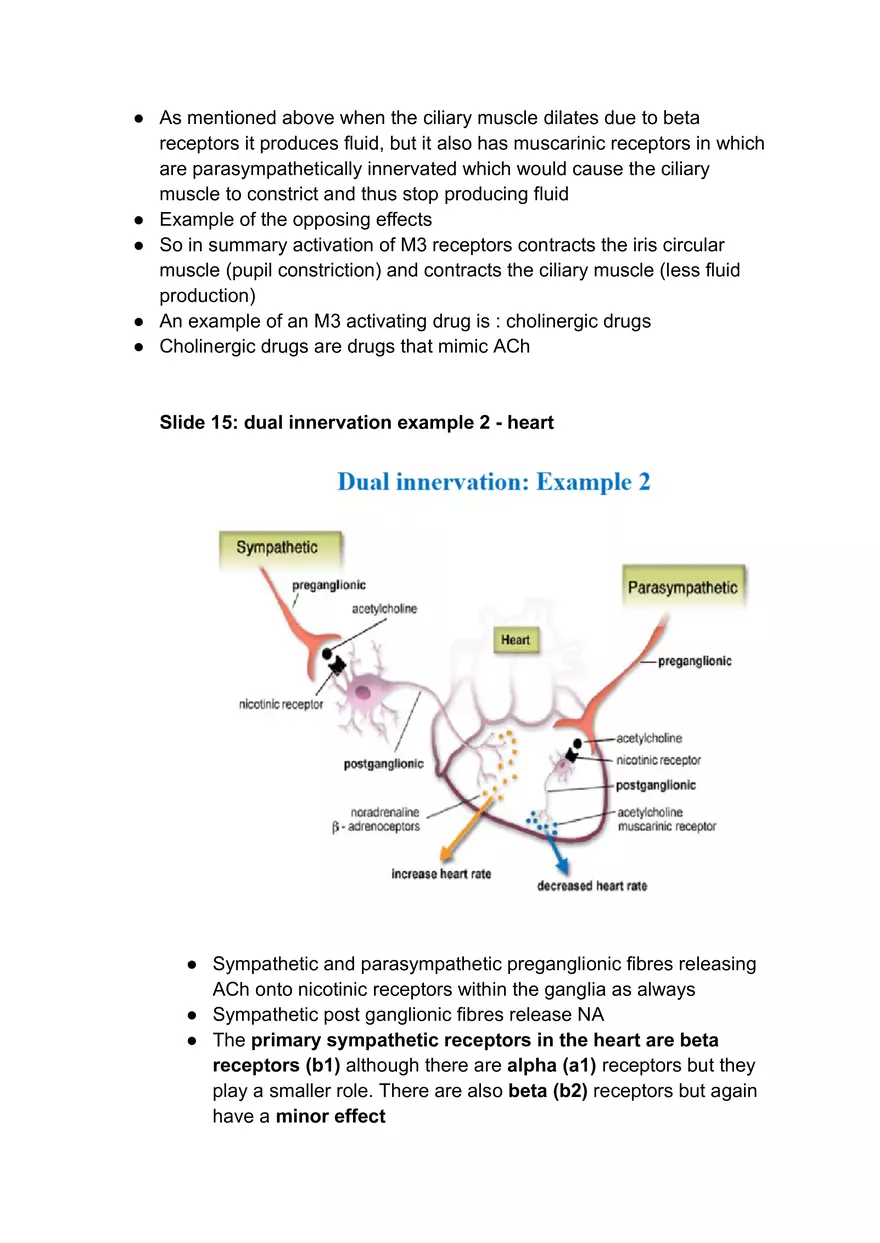 Autonomic Nervous System #1 - Page 4