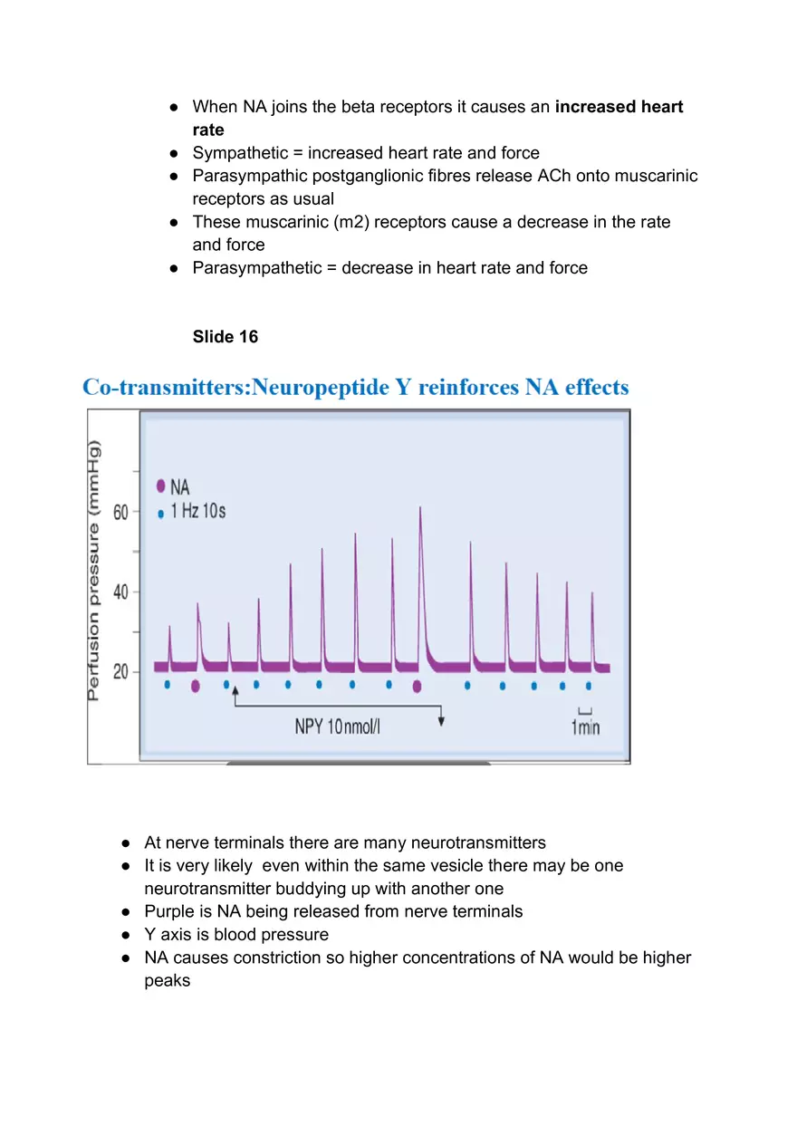 Autonomic Nervous System #1 - Page 5