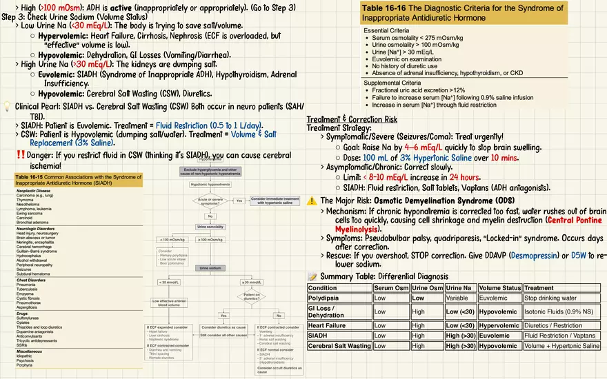 Chapter 16: Acid-Base, Fluids, and Electrolytes - Page 19