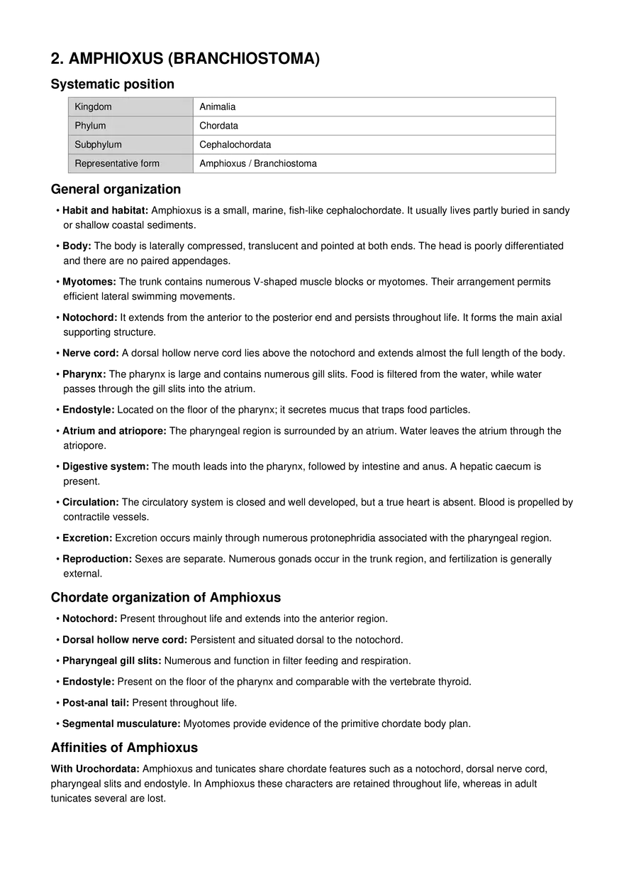 Organization and Affinities Hedymania and Amphioxus MSc I - Page 3
