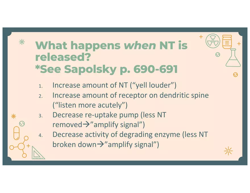 4 - Lecture Notes PPT - PSY 440 - Placebo & Neurons & NTs - Page 16
