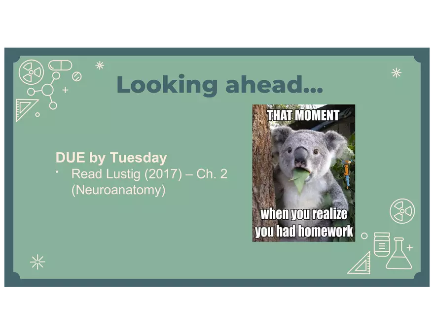 4 - Lecture Notes PPT - PSY 440 - Placebo & Neurons & NTs - Page 19