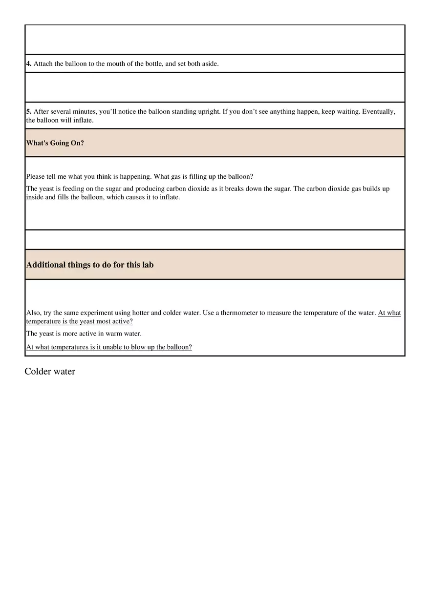 Cellular Respiration Lab-4-2 - Page 2