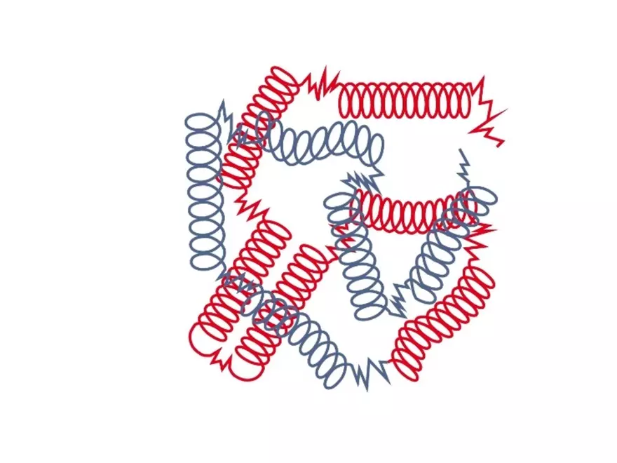 2.3. How Proteins Get their Shape - Page 11