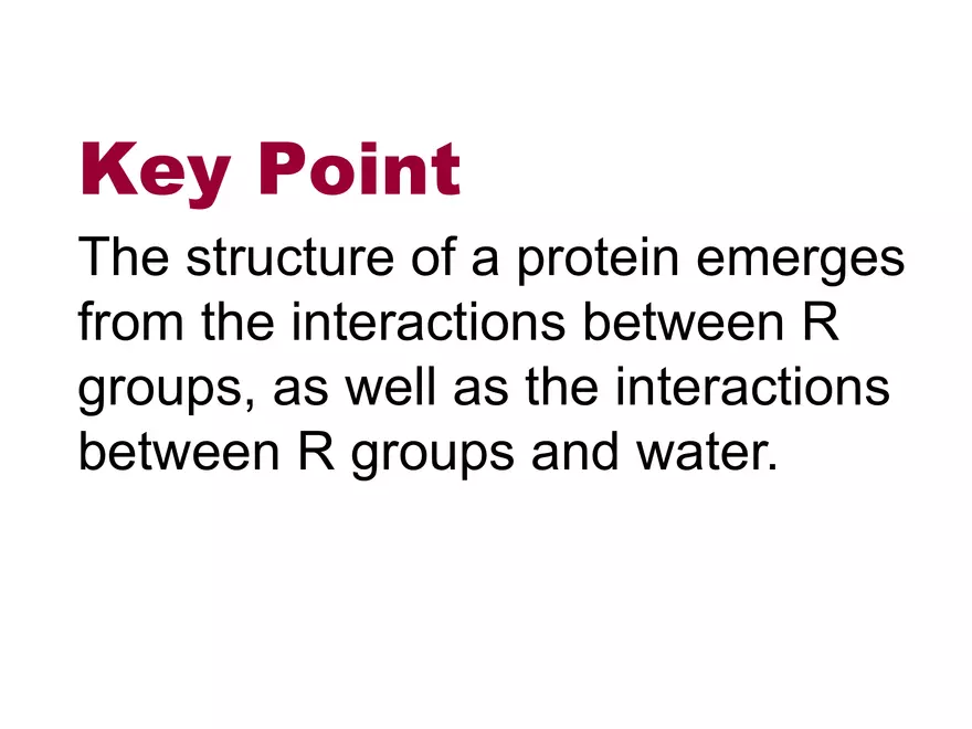 2.3. How Proteins Get their Shape - Page 14