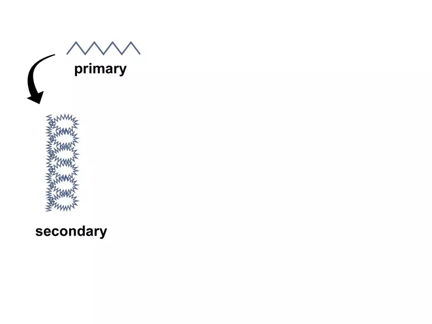 2.3. How Proteins Get their Shape - Page 18