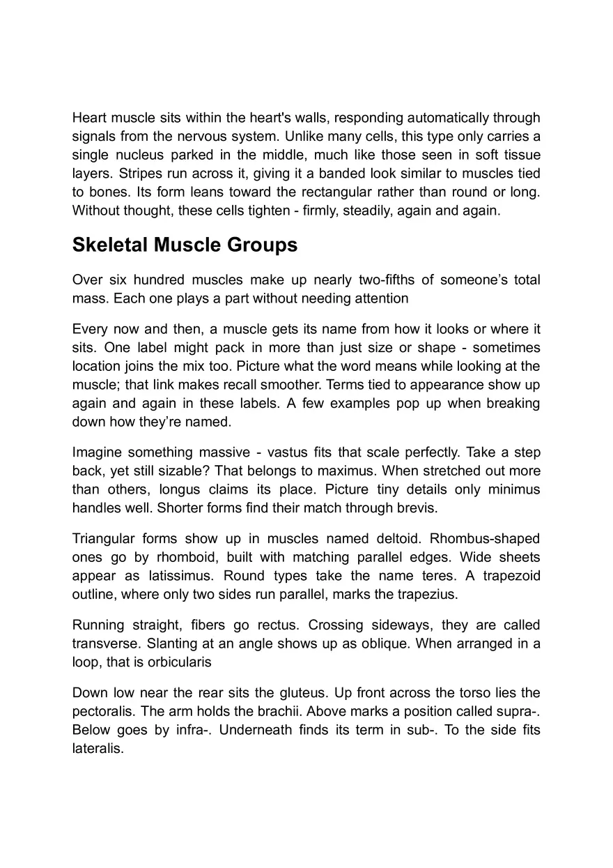 Functions of the Muscular System - Page 4