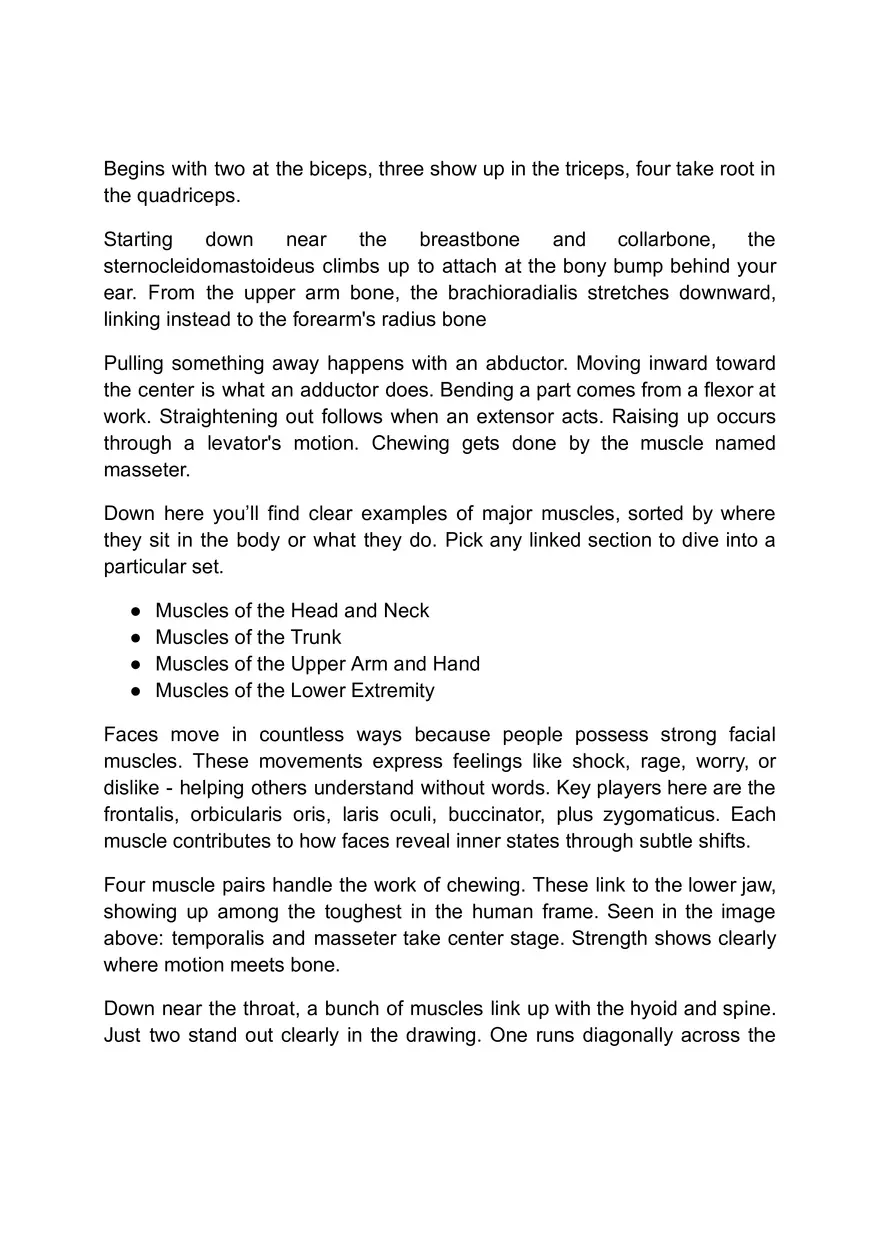 Functions of the Muscular System - Page 5