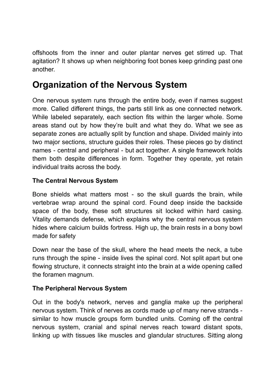 Functions of the Nervous System - Page 7