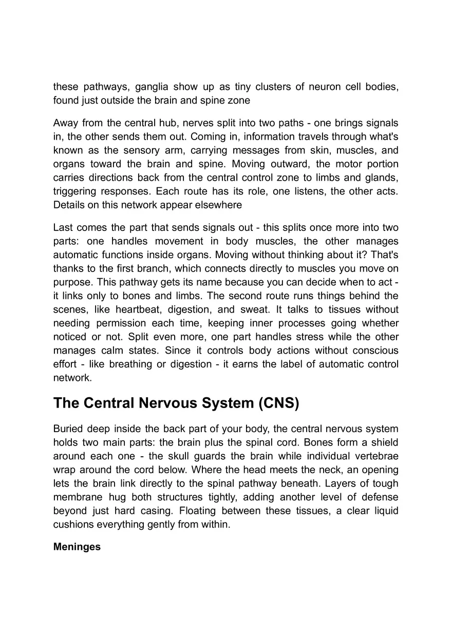 Functions of the Nervous System - Page 8