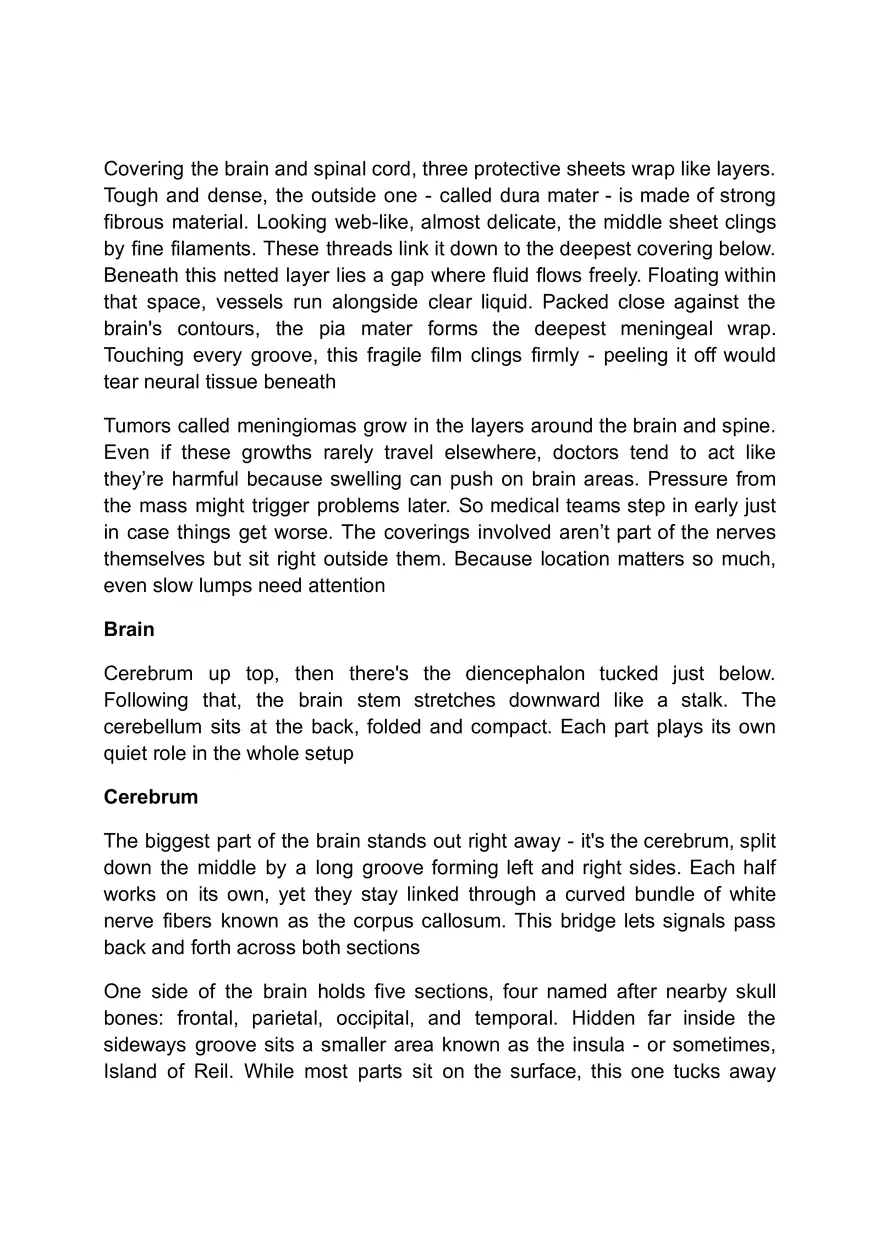 Functions of the Nervous System - Page 9
