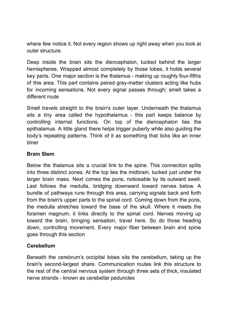 Functions of the Nervous System - Page 10