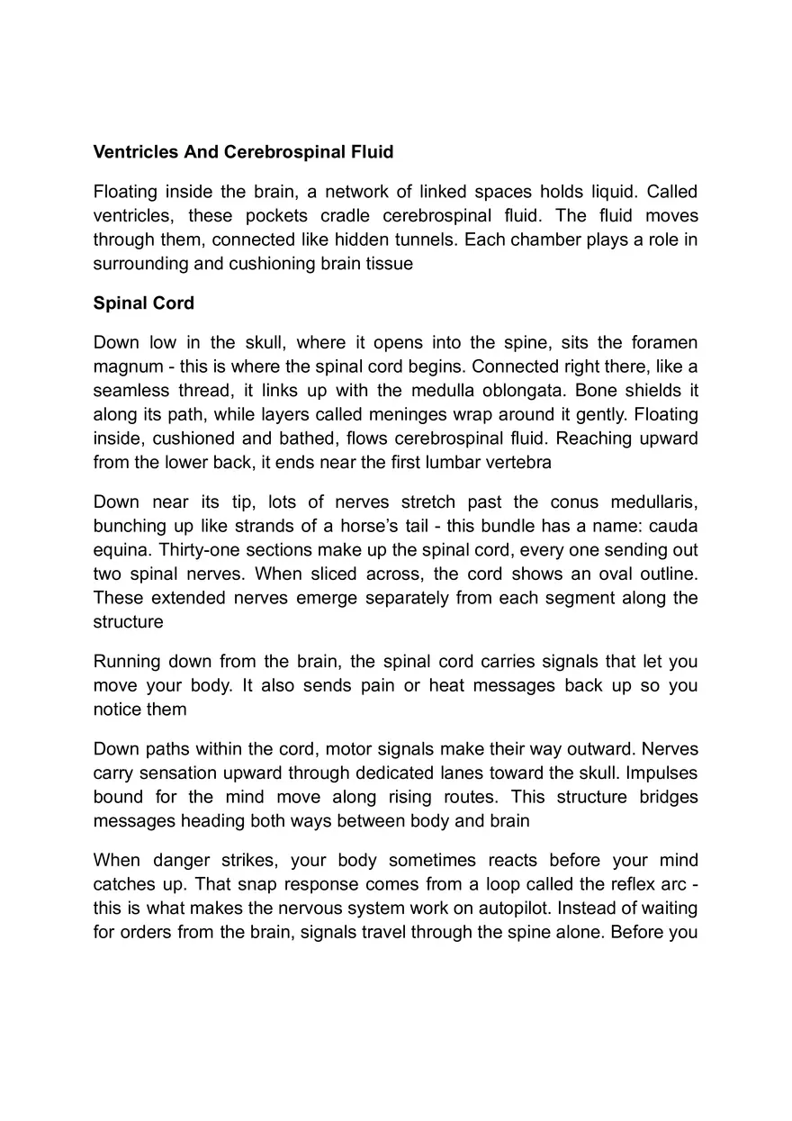 Functions of the Nervous System - Page 11