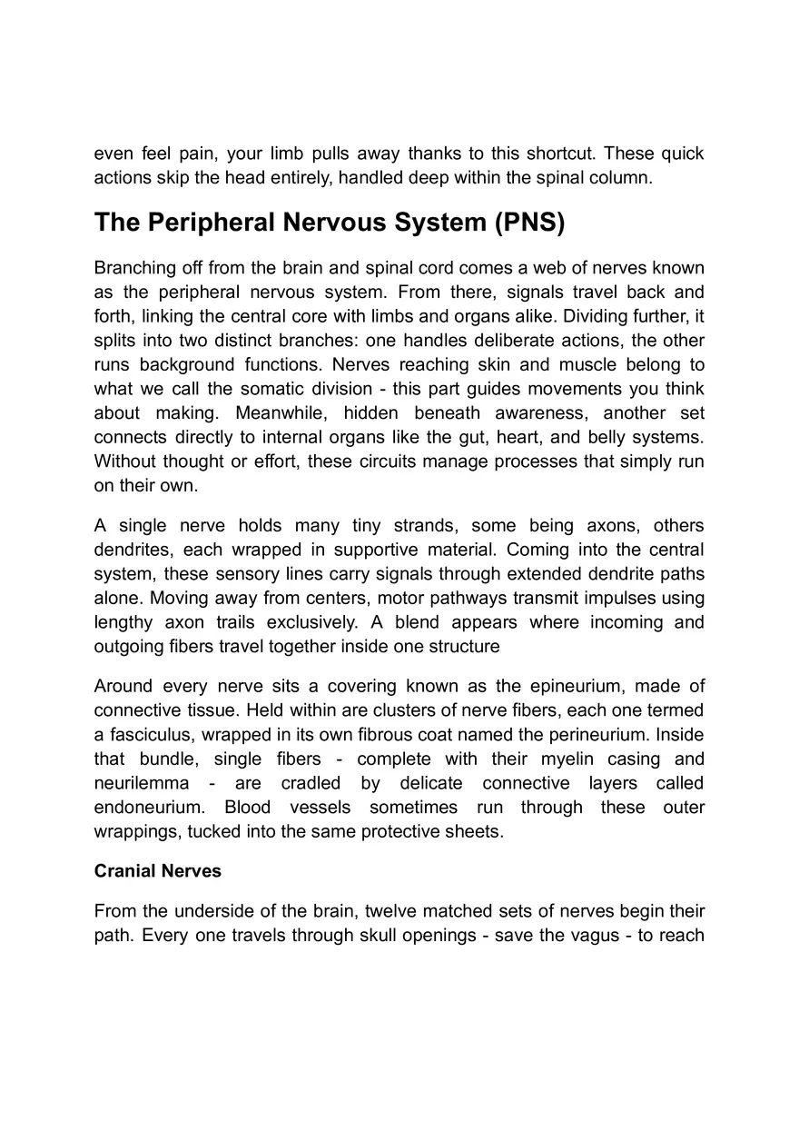 Functions of the Nervous System - Page 12