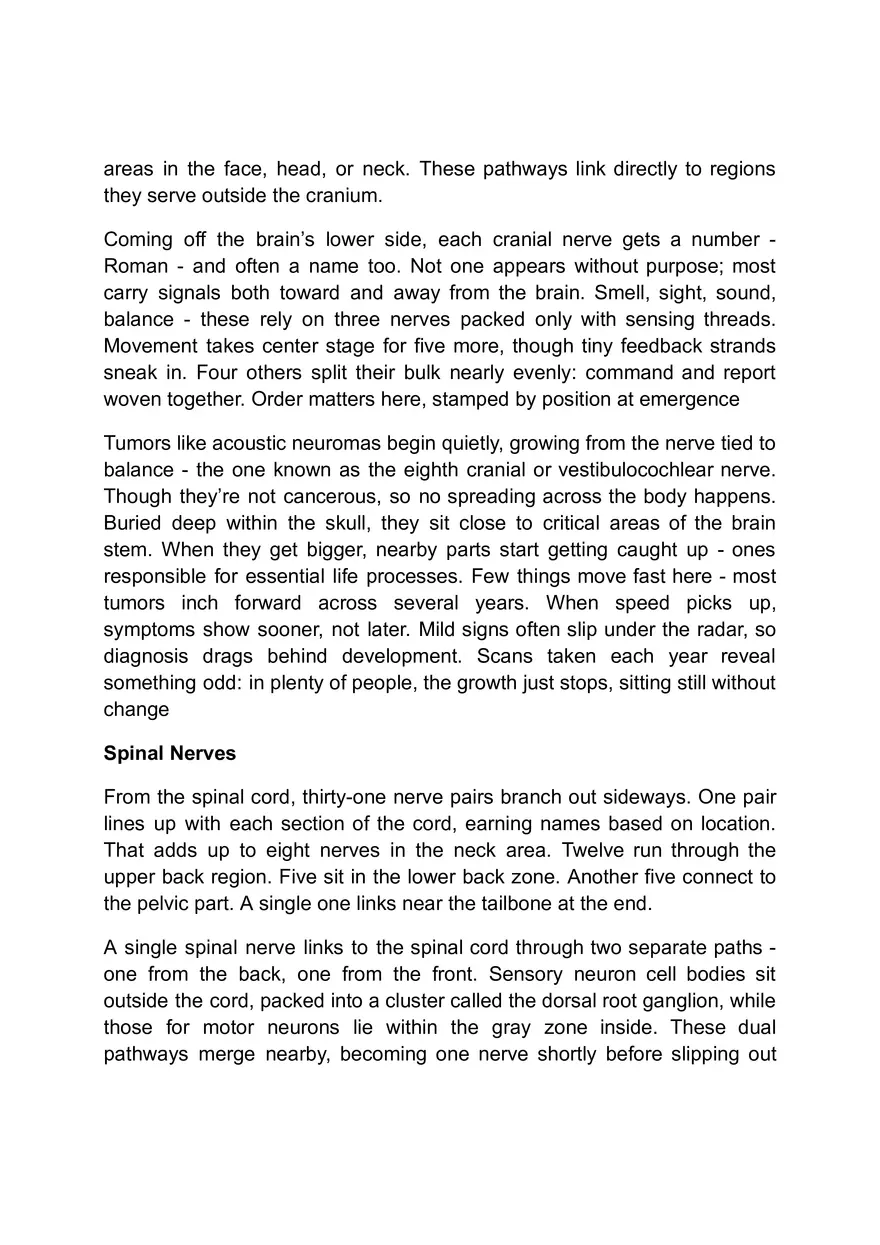 Functions of the Nervous System - Page 3
