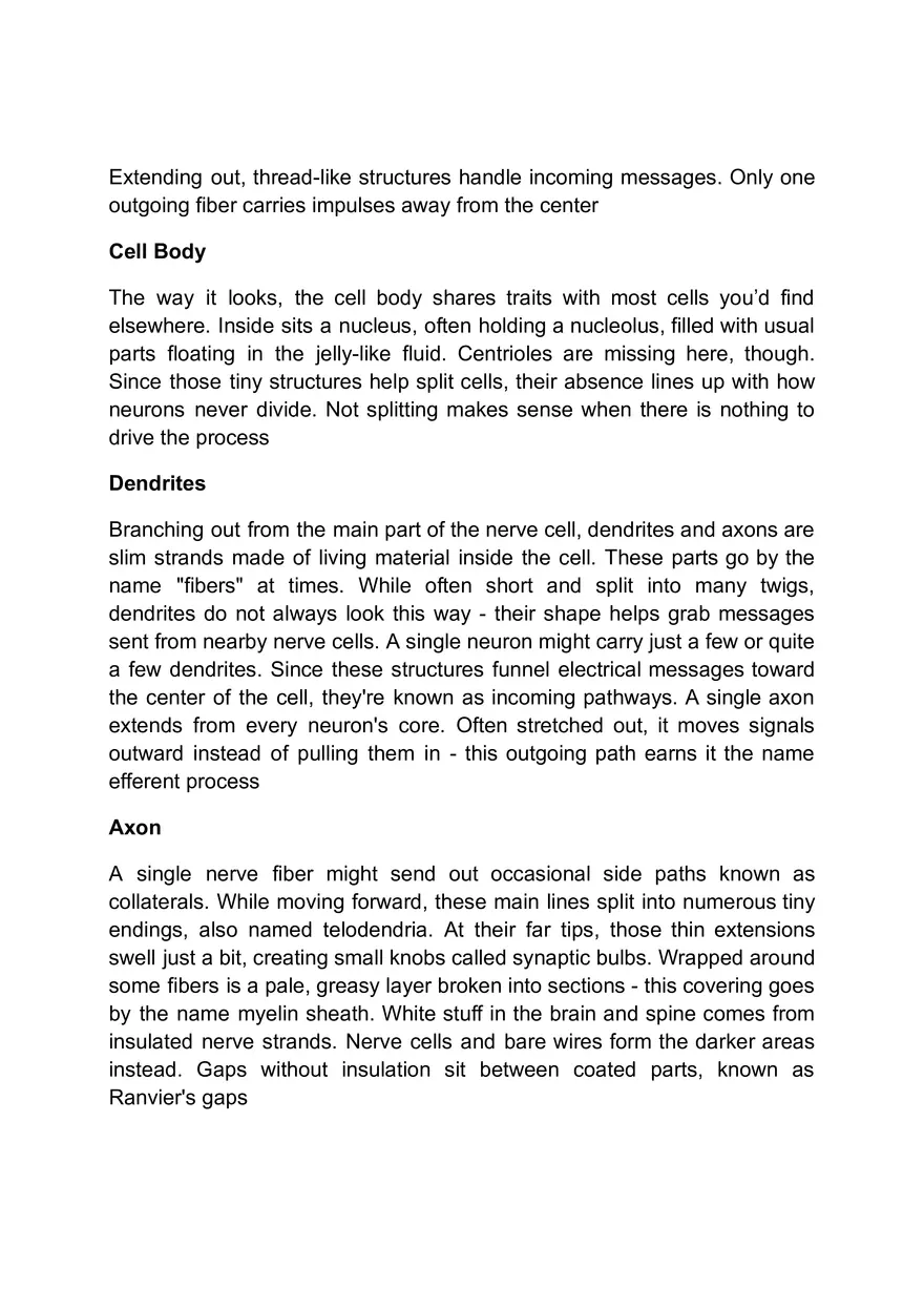 Functions of the Nervous System - Page 5
