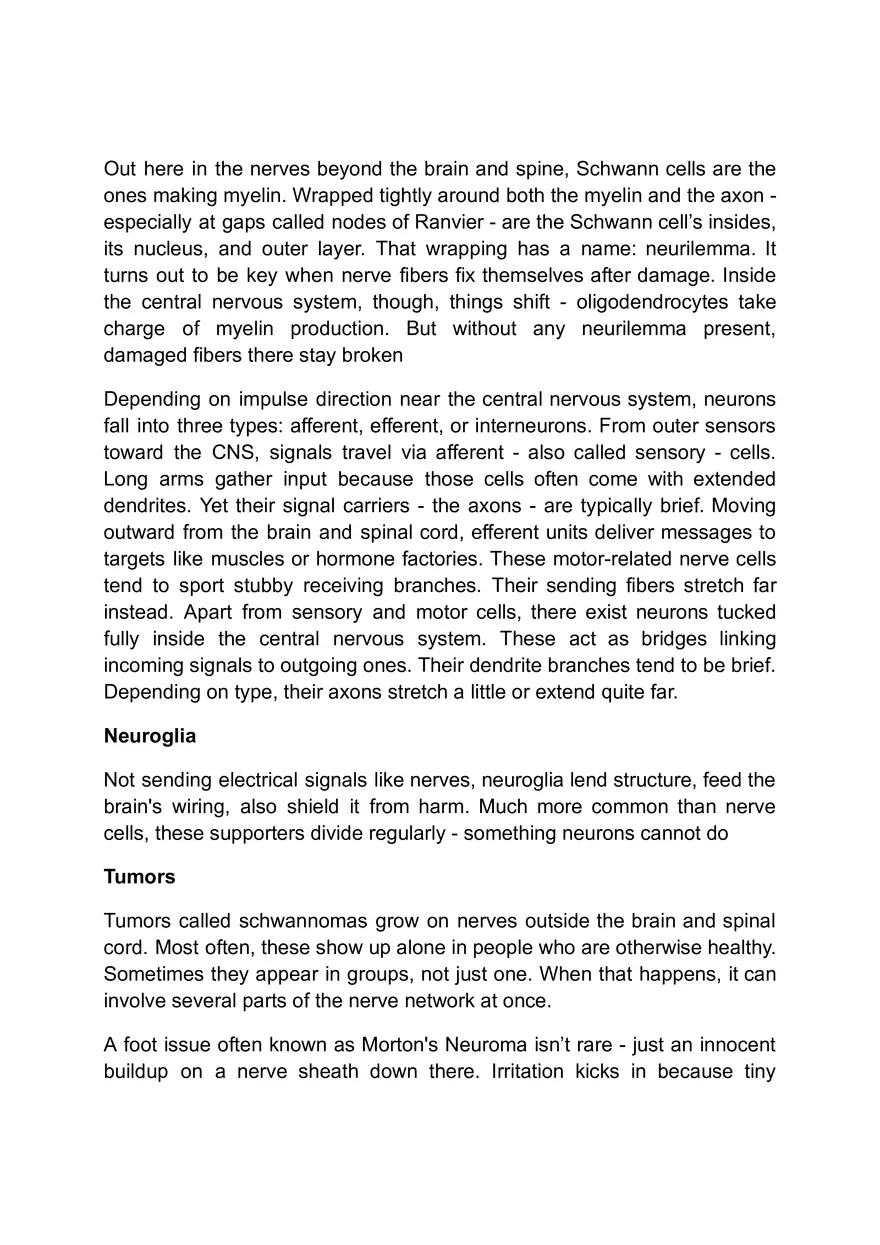 Functions of the Nervous System - Page 6