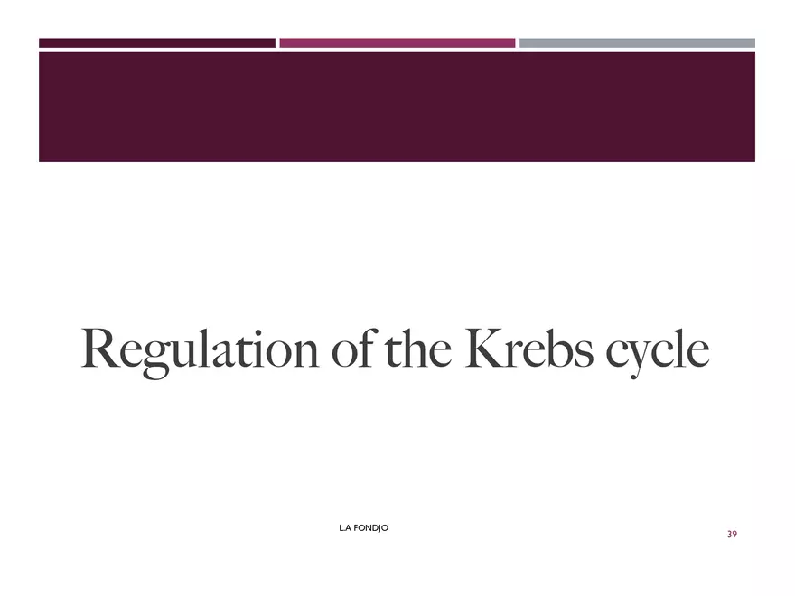 Krebs Cycle - Page 31