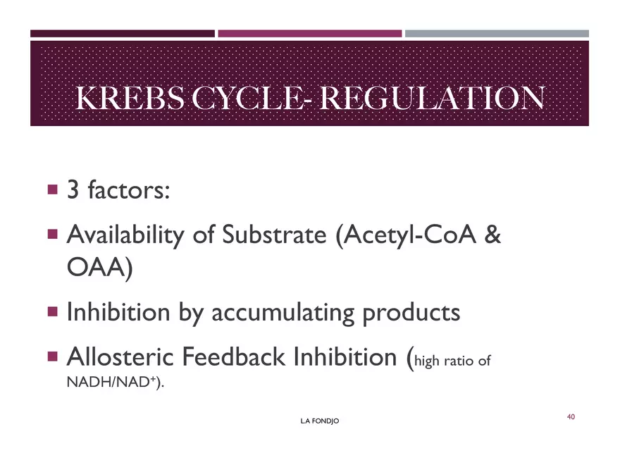 Krebs Cycle - Page 32