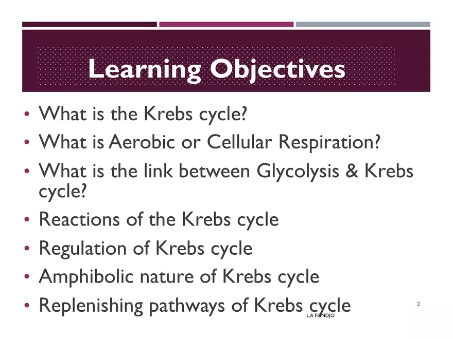 Krebs Cycle - Page 2