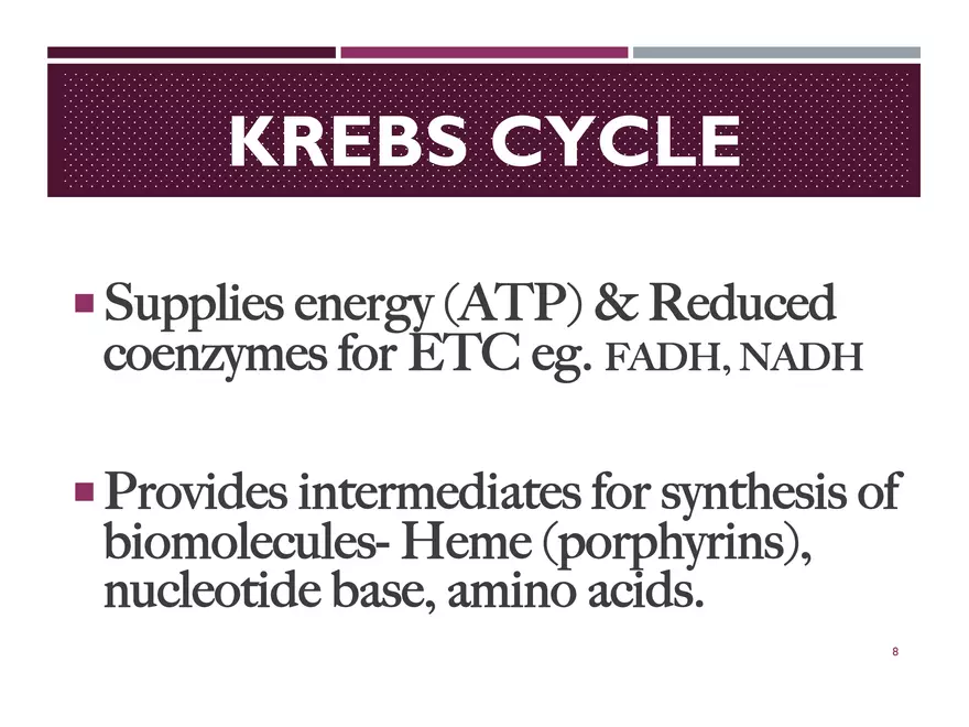 Krebs Cycle - Page 47