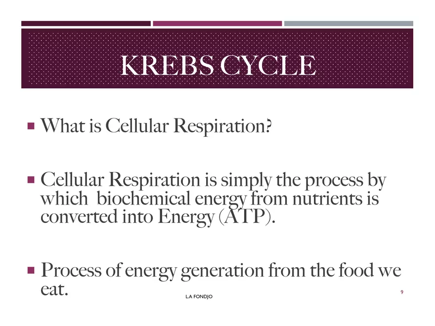 Krebs Cycle - Page 48