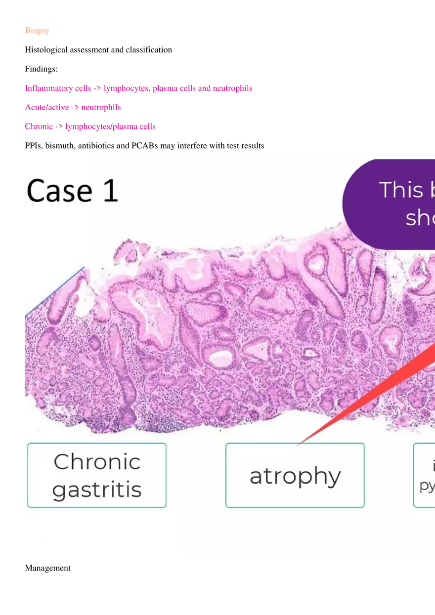 Gastritis - Page 5