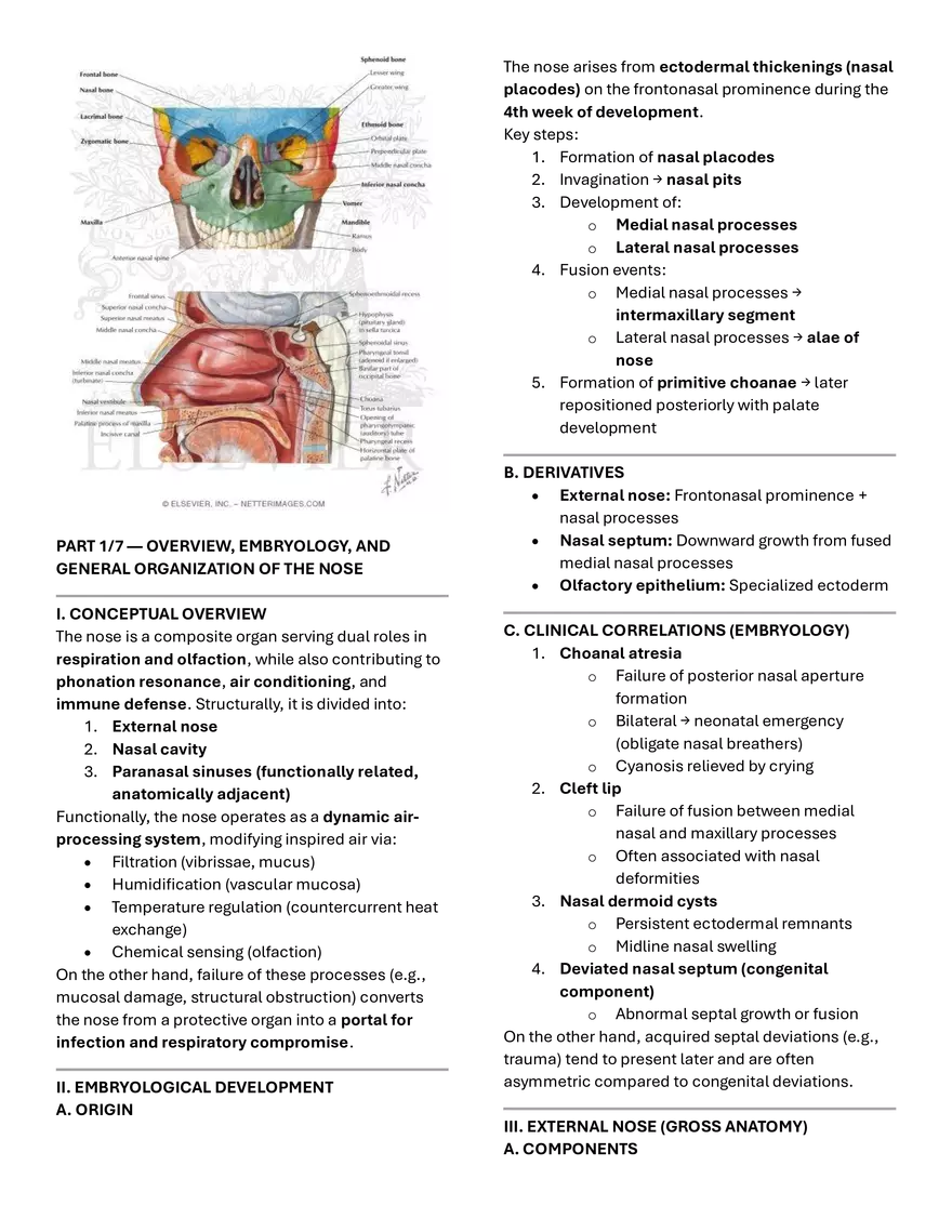 Nose and Ears GPT - Page 1