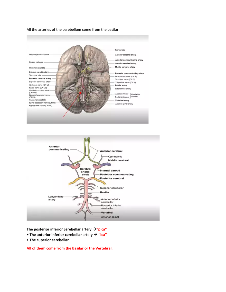 Brain Study Notes - Page 9