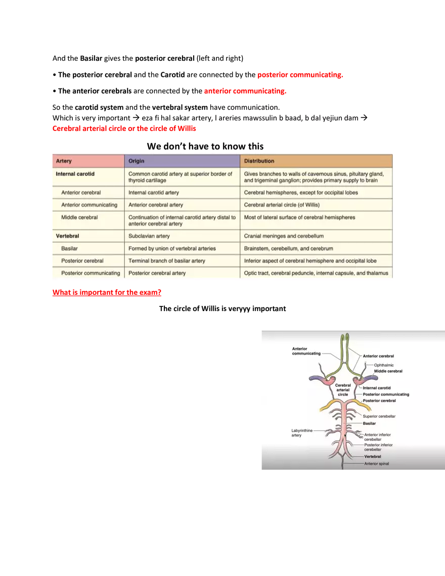 Brain Study Notes - Page 10