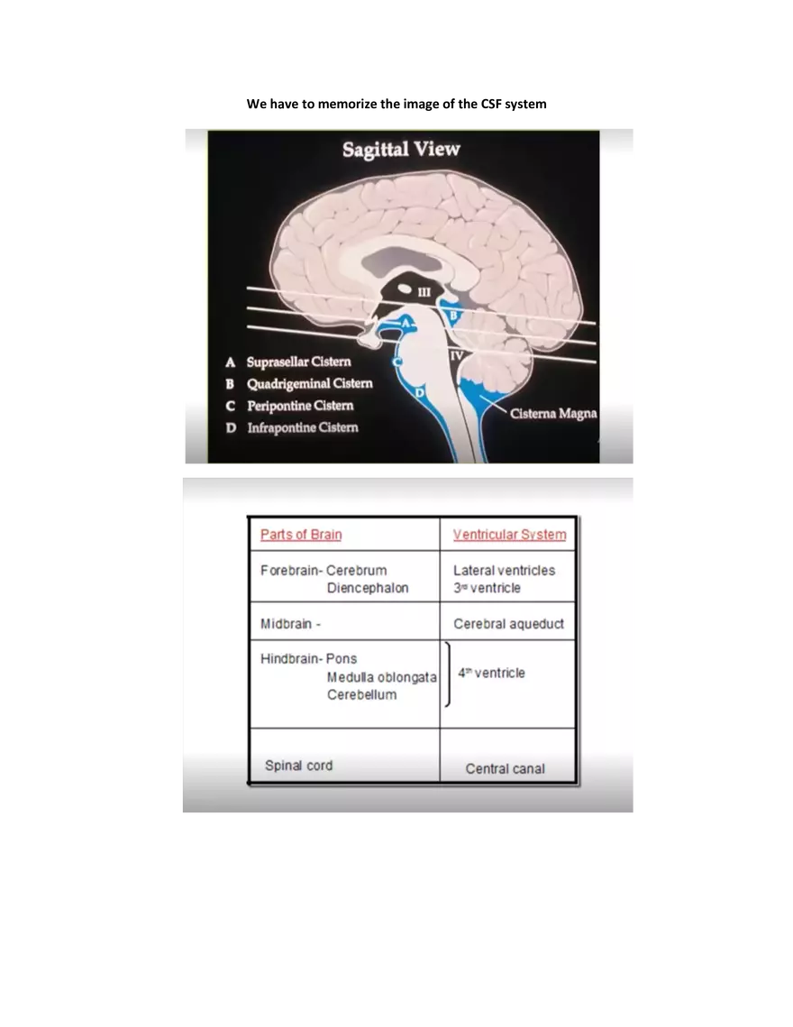 Brain Study Notes - Page 11