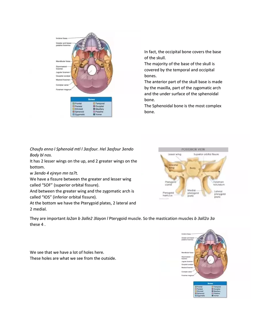 Brain Study Notes - Page 13