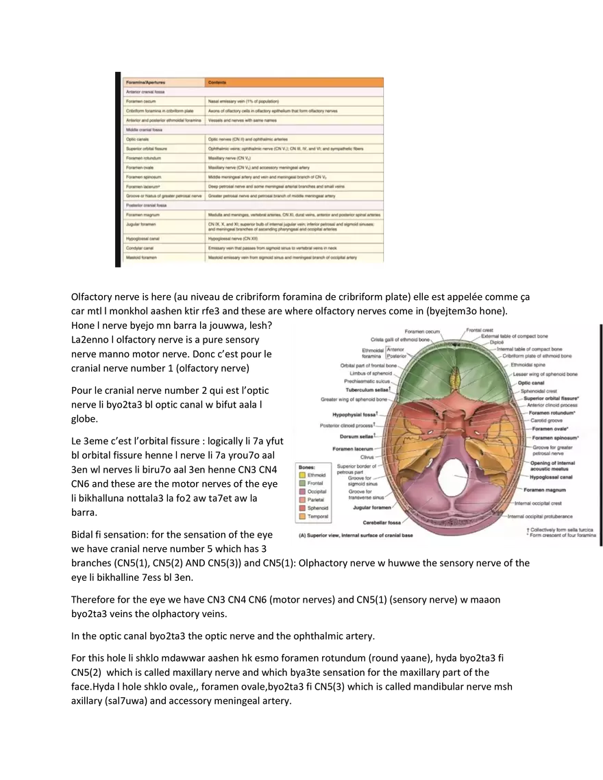 Brain Study Notes - Page 15