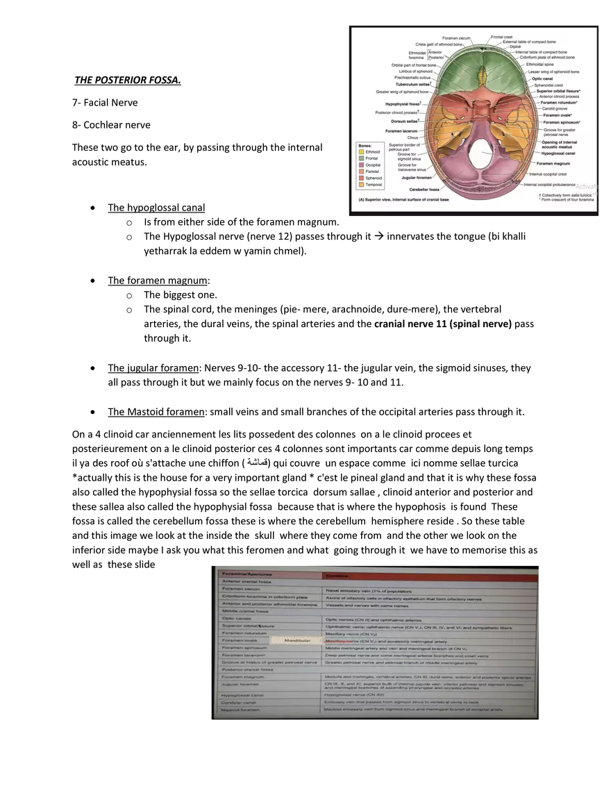 Brain Study Notes - Page 17