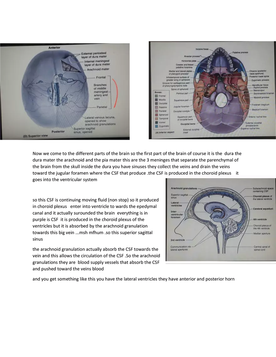 Brain Study Notes - Page 18