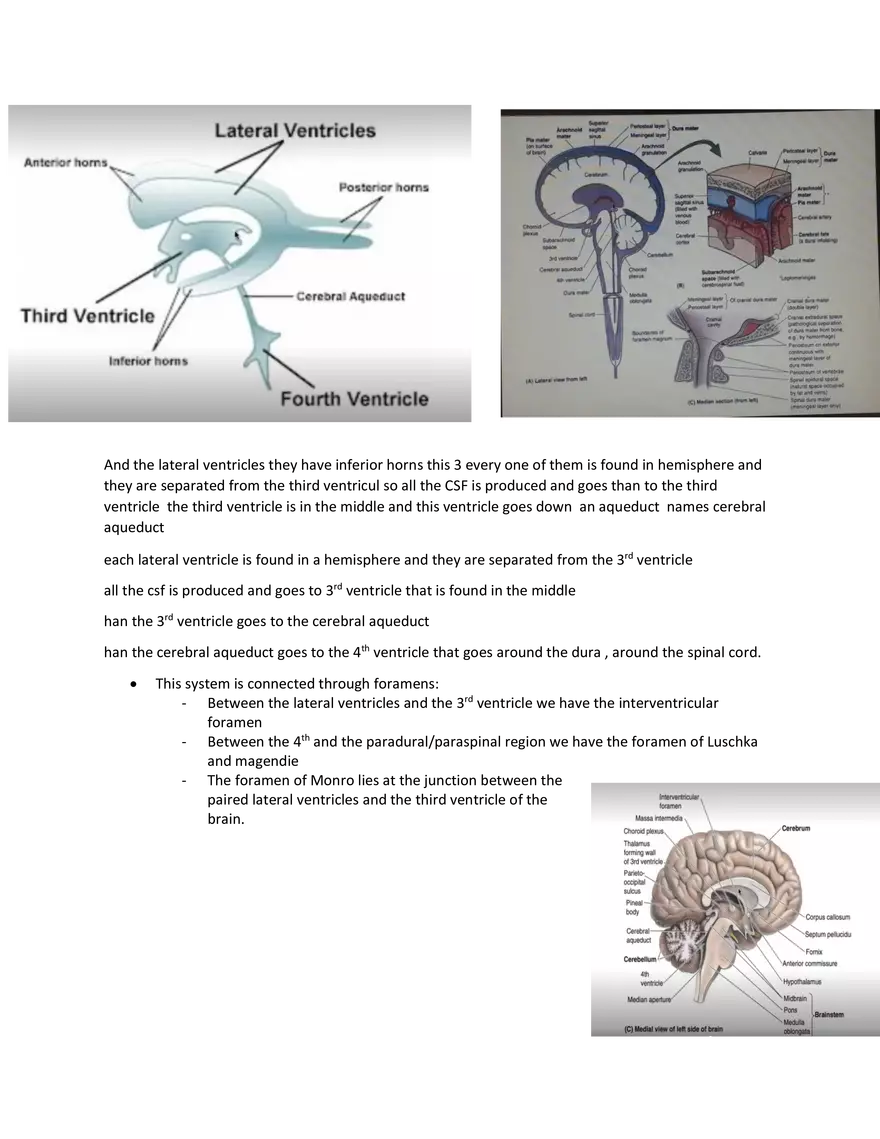 Brain Study Notes - Page 19