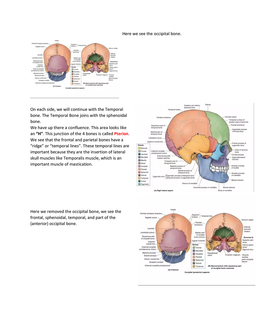 Brain Study Notes - Page 2