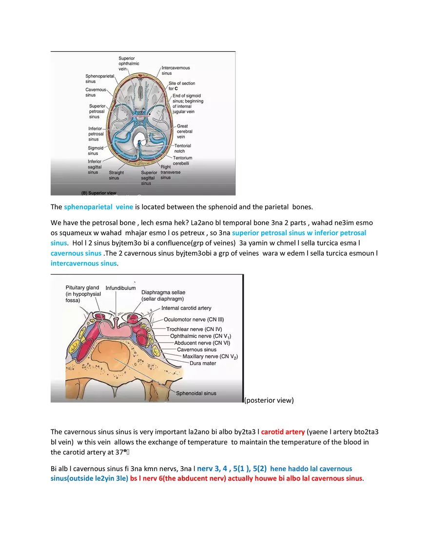 Brain Study Notes - Page 3