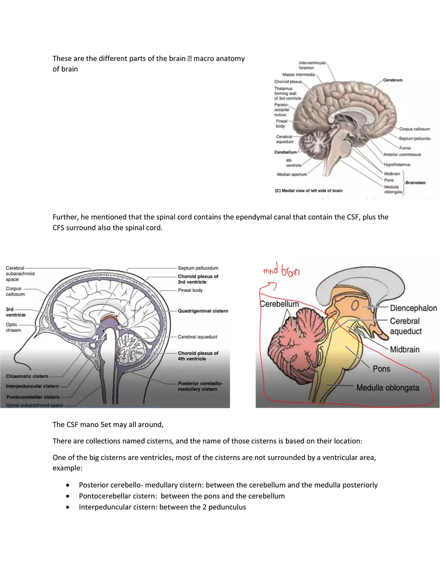 Brain Study Notes - Page 6