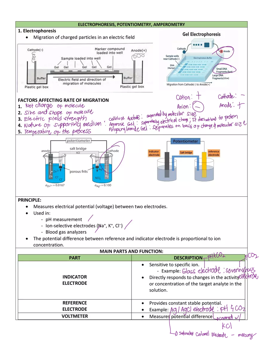 Clinical Chemistry 1 - Page 14