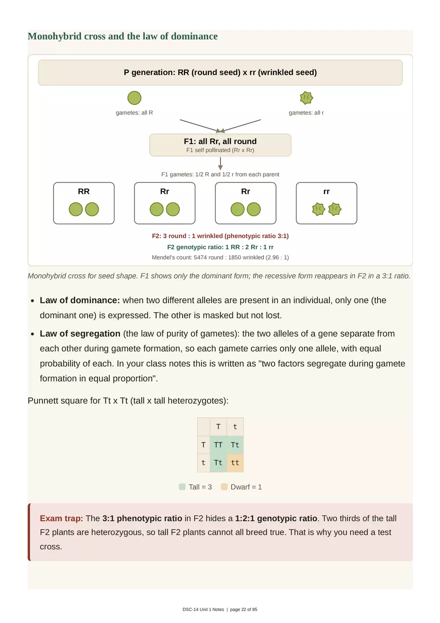 Unit 1: Transmission Genetics - Page 15