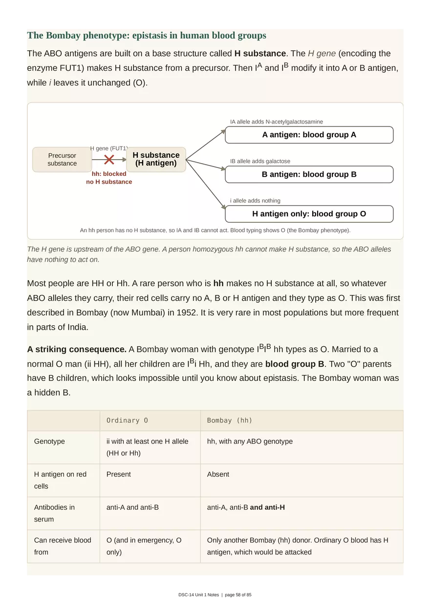 Unit 1: Transmission Genetics - Page 54