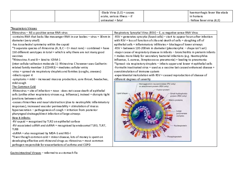 Viral Diseases - Page 2
