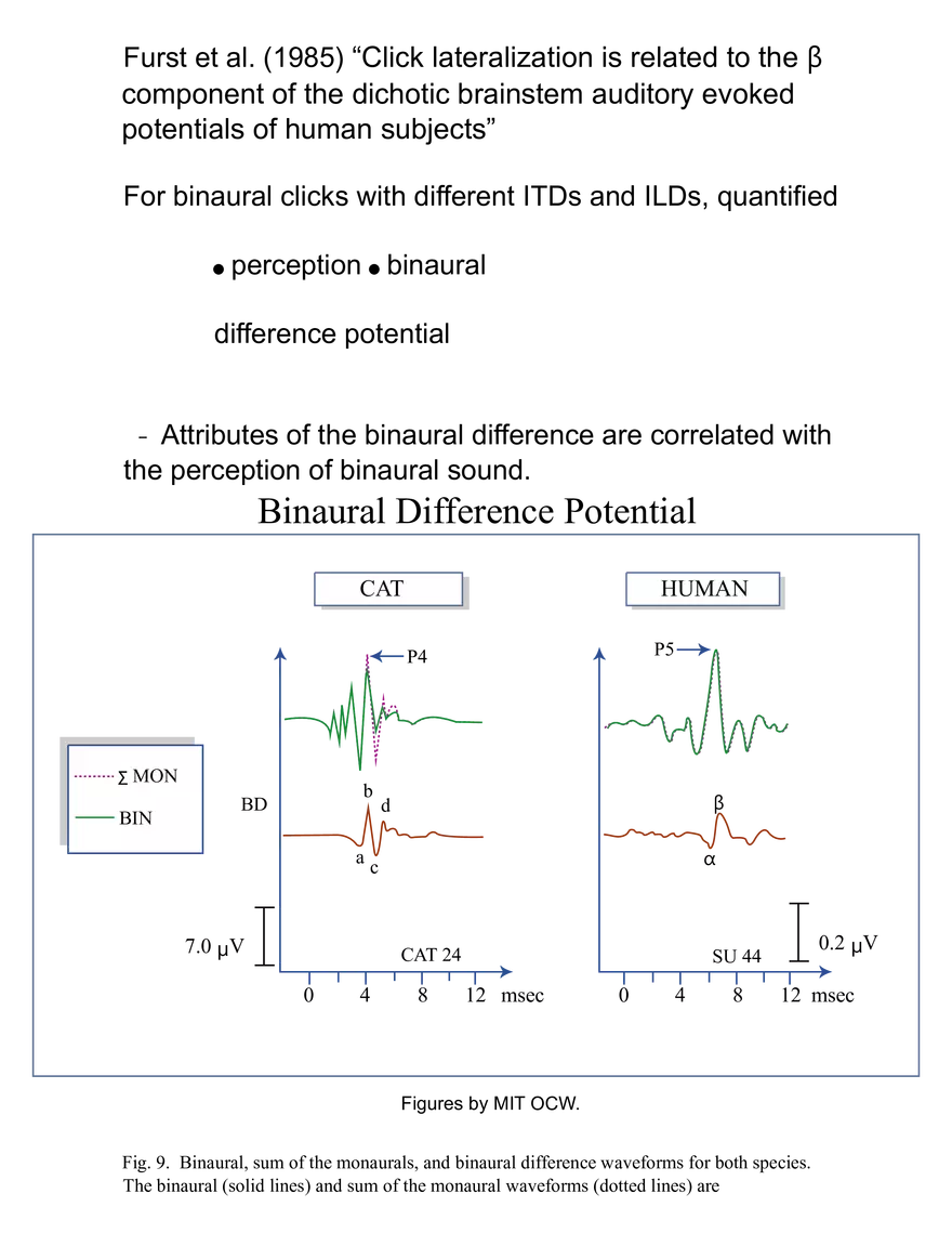 Neuroimaging Correlates of Human Auditory Behavior - Page 11