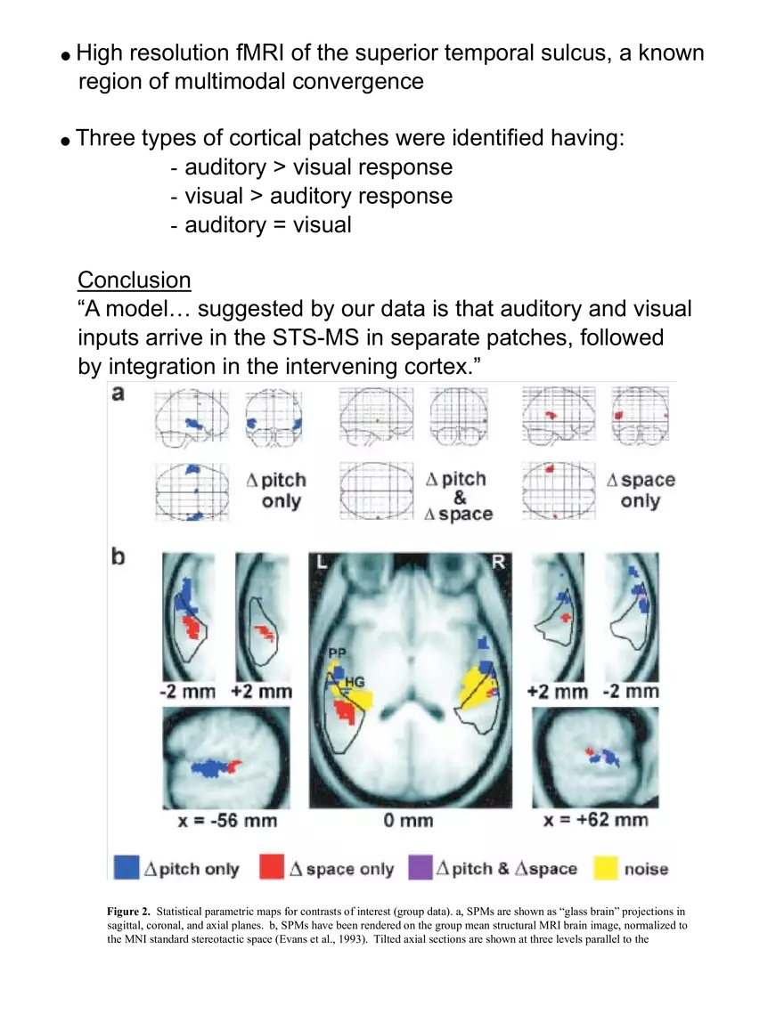 Neuroimaging Correlates of Human Auditory Behavior - Page 5